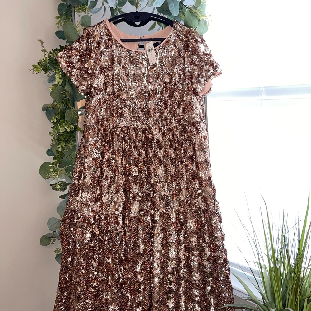 Anthropologie Sequined Dress